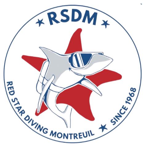LOGO RSDM LOGO RSDM
