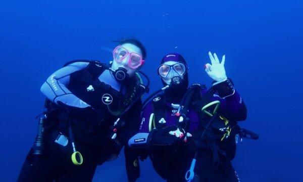 028abef4-718f-4df6-9e74-0b6b600f1f43 028abef4-718f-4df6-9e74-0b6b600f1f43