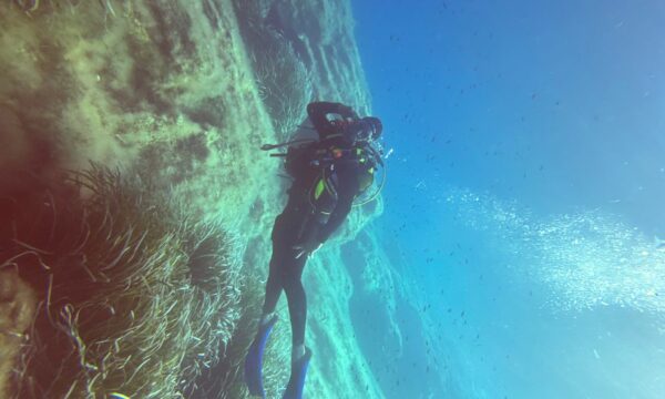 13638a87-5ab5-4d0f-9996-2163eb2c6bc2 13638a87-5ab5-4d0f-9996-2163eb2c6bc2