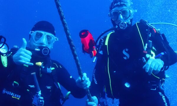 144565f2-97dd-4735-9026-66e63a030fb5