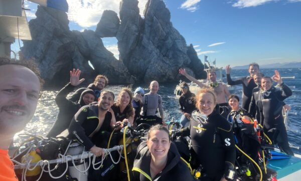 20796e59-0caa-4062-98f6-bf8a933359da 20796e59-0caa-4062-98f6-bf8a933359da