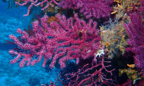 328df7d7-3584-4199-8a7e-1c2d5589071a 328df7d7-3584-4199-8a7e-1c2d5589071a