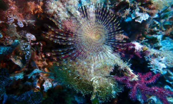 393be982-7897-4870-9ba2-1f33f8f376b6 393be982-7897-4870-9ba2-1f33f8f376b6