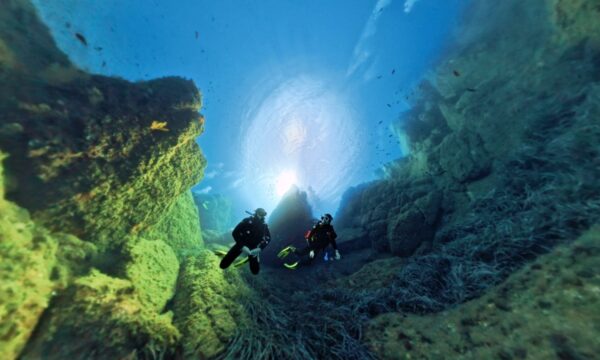 57277d30-109b-430b-b1e2-c6ceee846b6d 57277d30-109b-430b-b1e2-c6ceee846b6d