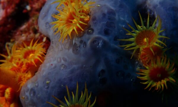 59dab4a5-10da-40c2-87e9-7776fe585f2e 59dab4a5-10da-40c2-87e9-7776fe585f2e