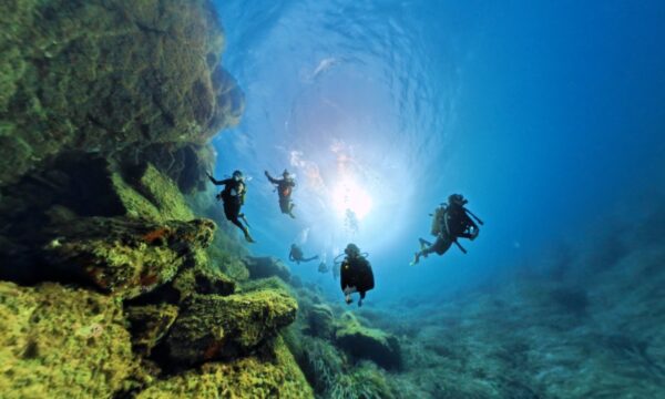 844fe638-fa40-4f64-86f0-3a6e8b9f2c57 844fe638-fa40-4f64-86f0-3a6e8b9f2c57