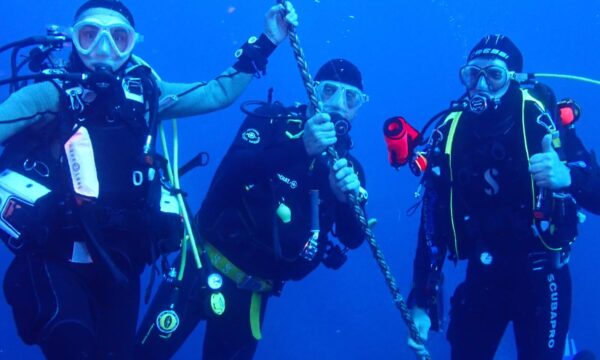 922ff2d4-a5a7-4e79-a1f3-7ed52f9d47a9 922ff2d4-a5a7-4e79-a1f3-7ed52f9d47a9