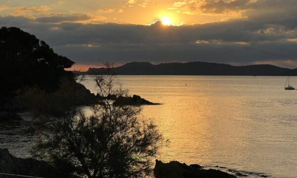 9bed5ff5-fea7-4627-965c-024e09c4e647 9bed5ff5-fea7-4627-965c-024e09c4e647