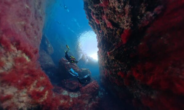 a18ad3c5-e21a-4c15-9c45-b633b74e16d0 a18ad3c5-e21a-4c15-9c45-b633b74e16d0