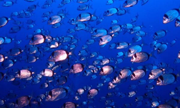 a316b444-56c9-4beb-ac27-95188cec204f a316b444-56c9-4beb-ac27-95188cec204f