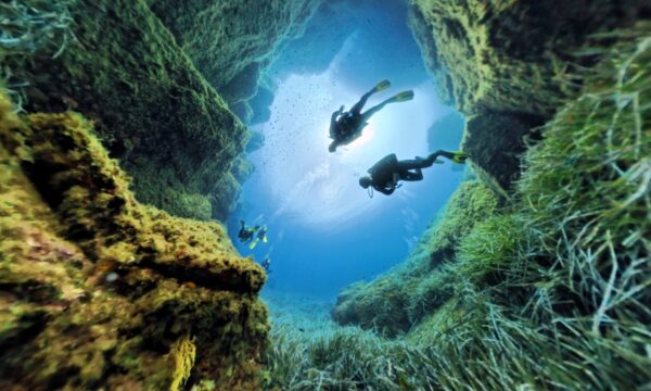 b5b00a3e-7152-47a9-a2ab-01909b7cc003 b5b00a3e-7152-47a9-a2ab-01909b7cc003