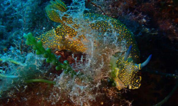 b744d0ac-bc9b-434f-af59-31c8261d549b b744d0ac-bc9b-434f-af59-31c8261d549b