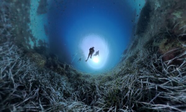 ba4534e0-4a8c-48d9-89eb-416e244300dc ba4534e0-4a8c-48d9-89eb-416e244300dc