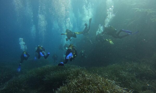 c3541595-a2e3-49e6-9703-9ab7f9f97e9d c3541595-a2e3-49e6-9703-9ab7f9f97e9d