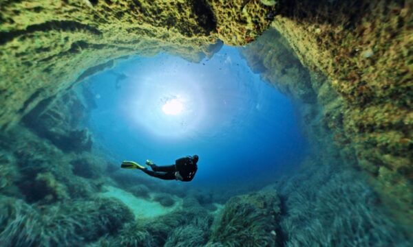 dd1d6dc9-8164-419f-a0a5-a45e049c20e9 dd1d6dc9-8164-419f-a0a5-a45e049c20e9