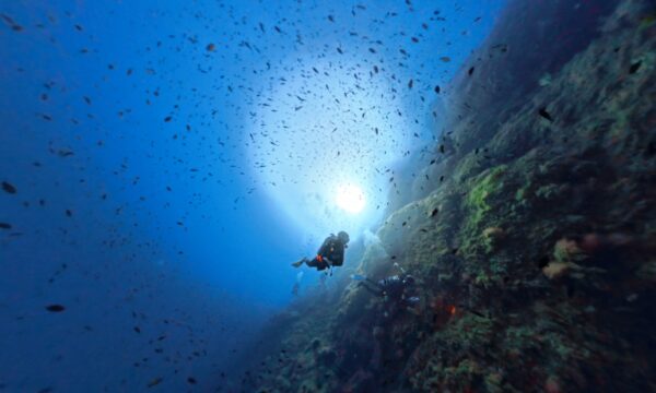 e12cca54-8ded-4194-a9bb-2090e9e2fc56 e12cca54-8ded-4194-a9bb-2090e9e2fc56