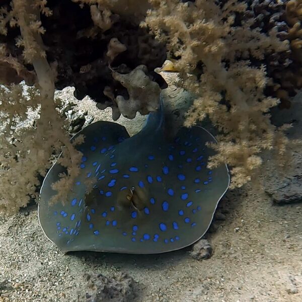 57dc9db9-8166-4382-8f6e-2121ca63f7e6