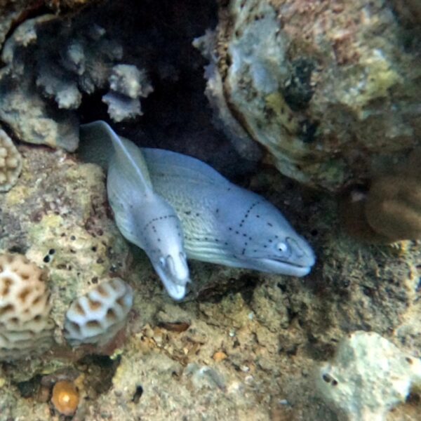 6e9fcfc8-9b76-4f8f-aa93-fe71677ce633