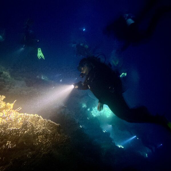 SportDiver_20251109_172137