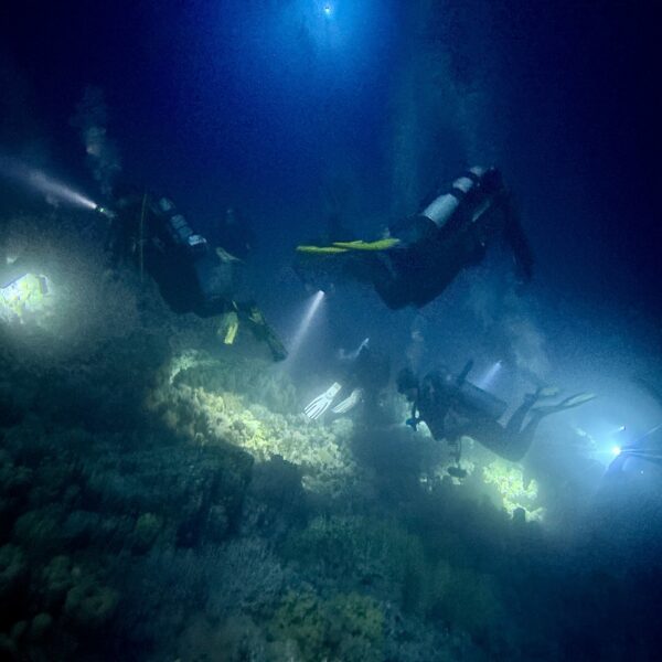 SportDiver_20251109_172230