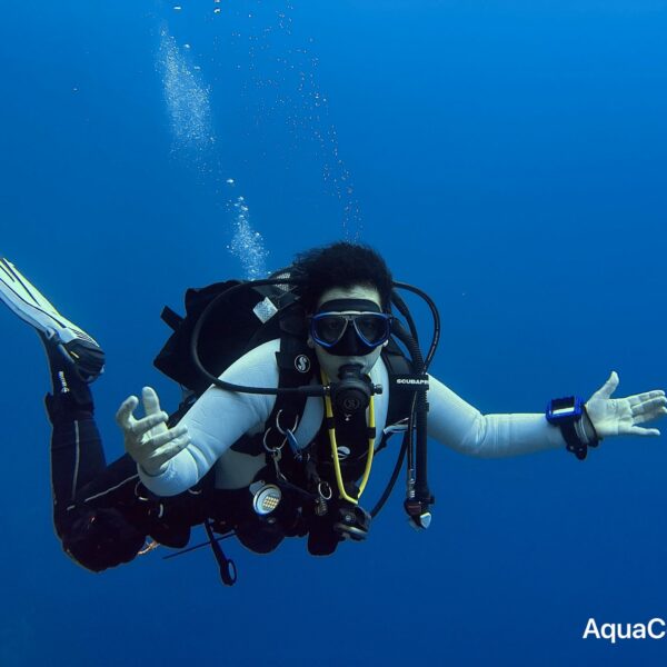 SportDiver_20251111_070838