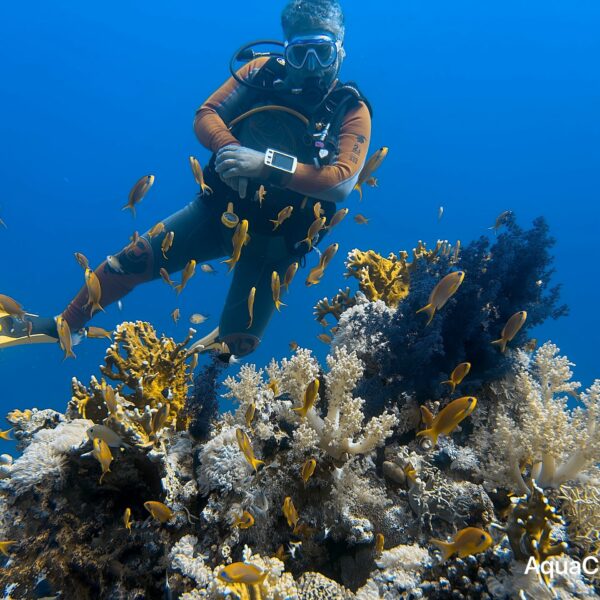 SportDiver_20251112_121923