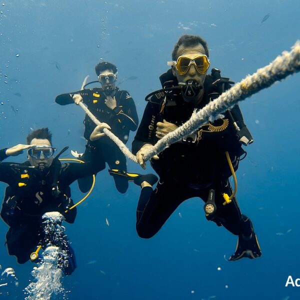 SportDiver_20251113_071431