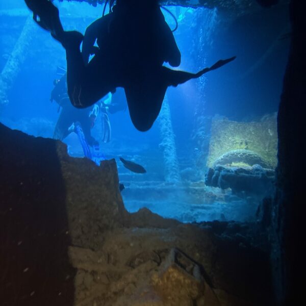 SportDiver_20251113_074211