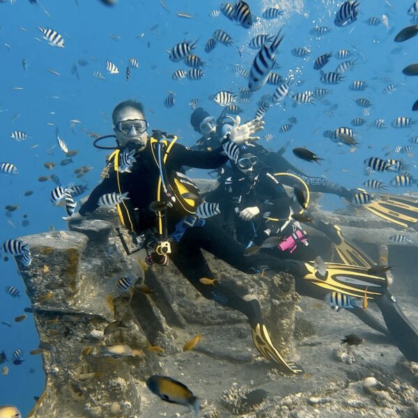 SportDiver_20251113_075005