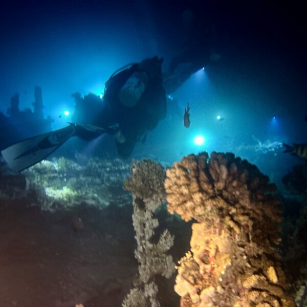 SportDiver_20251113_182849