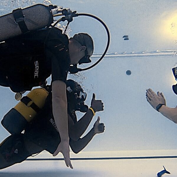 3377d59a-86e5-4925-be63-4fcfafe56234