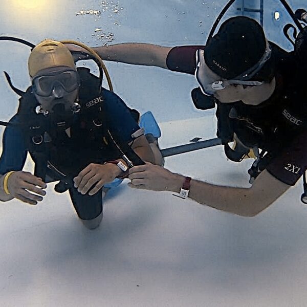 8d02b797-6cdd-4188-b79b-8866608f6daf