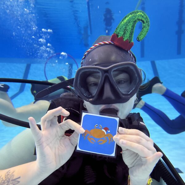 SportDiver_20251218_215459