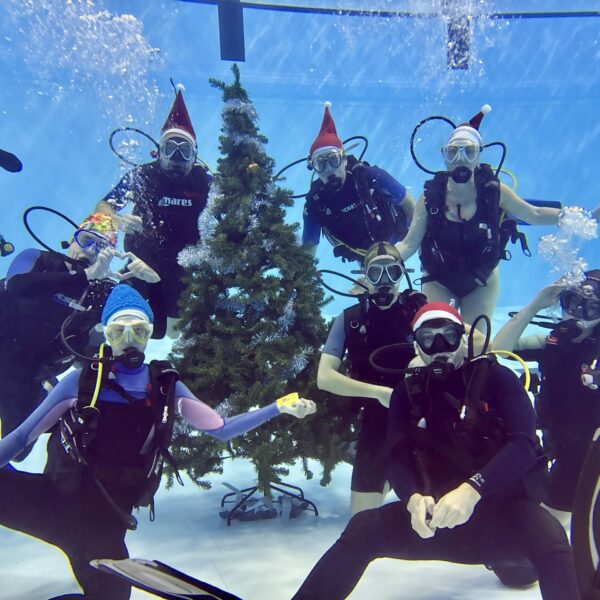 SportDiver_20251218_215615