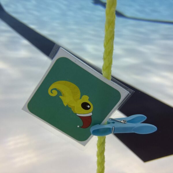 SportDiver_20251218_215714