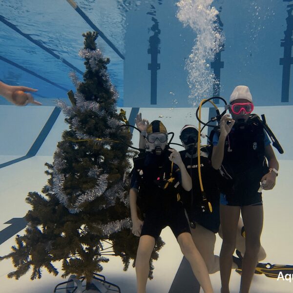 SportDiver_20251220_152950