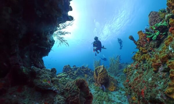 8279db38-a5b4-46ec-b23b-ce40f788c9db