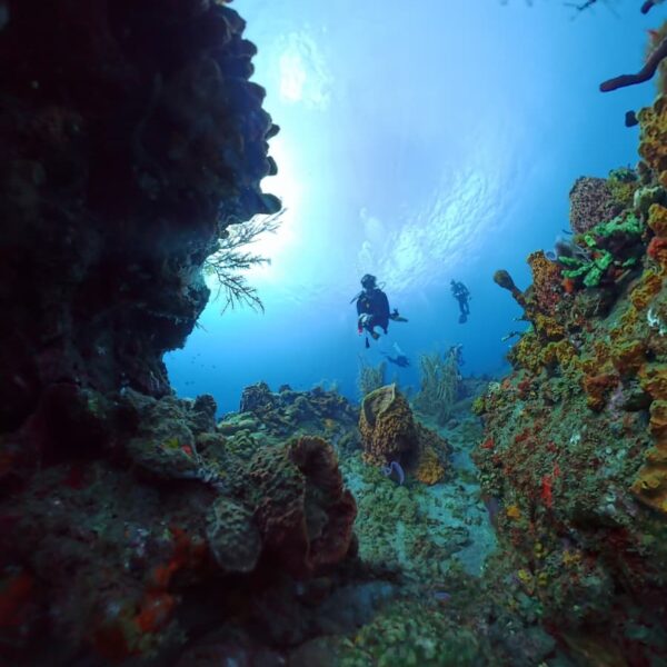 8279db38-a5b4-46ec-b23b-ce40f788c9db