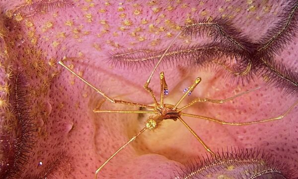 SportDiver_20260228_104817