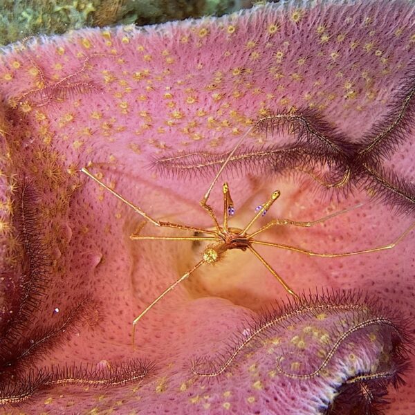 SportDiver_20260228_104817