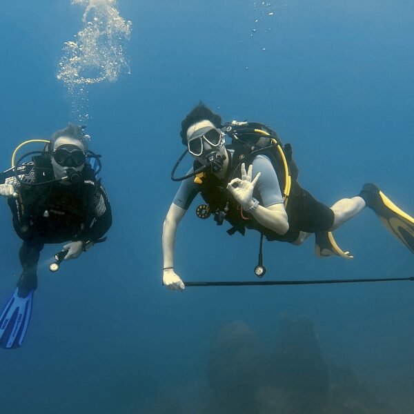 SportDiver_20260228_111517