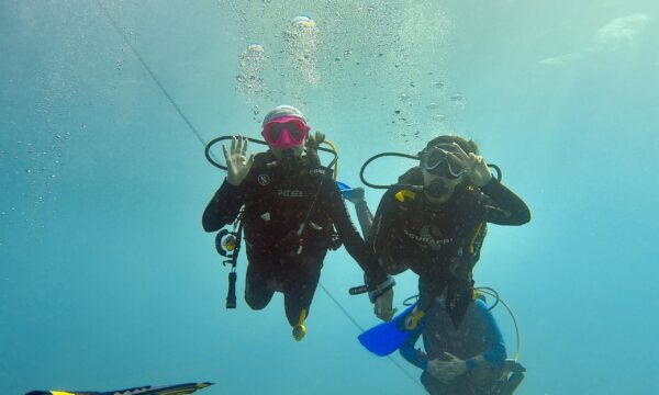 SportDiver_20260301_095343