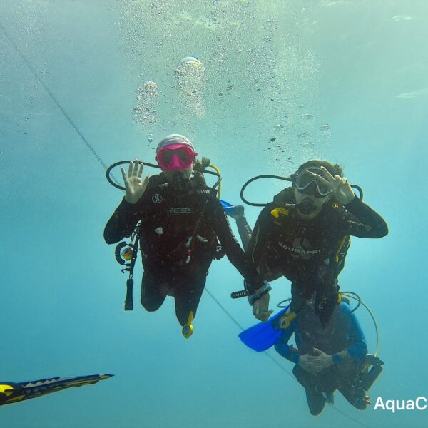 SportDiver_20260301_095343