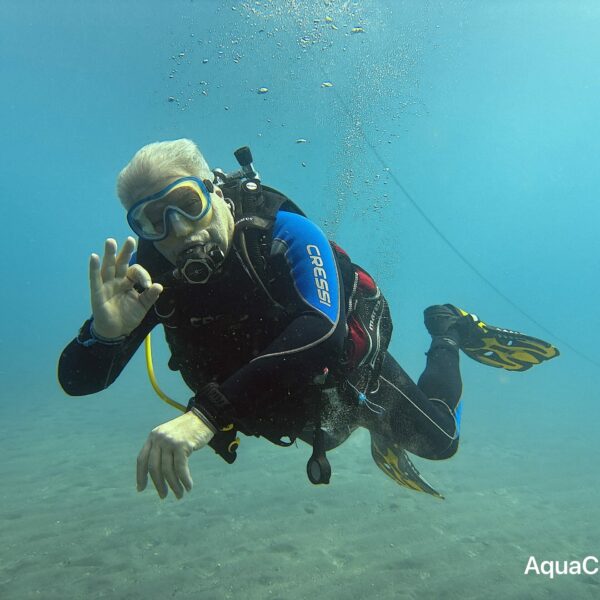 SportDiver_20260301_095354(1)