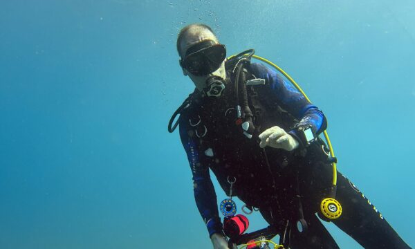 SportDiver_20260301_095357