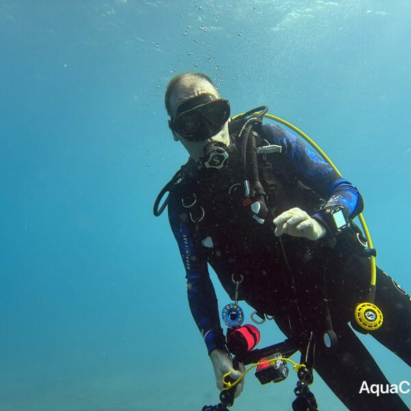 SportDiver_20260301_095357