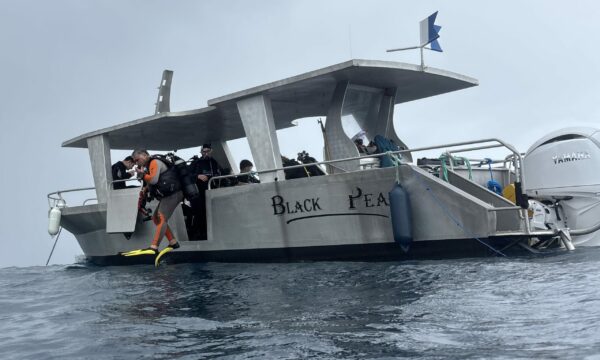 SportDiver_20260301_150159