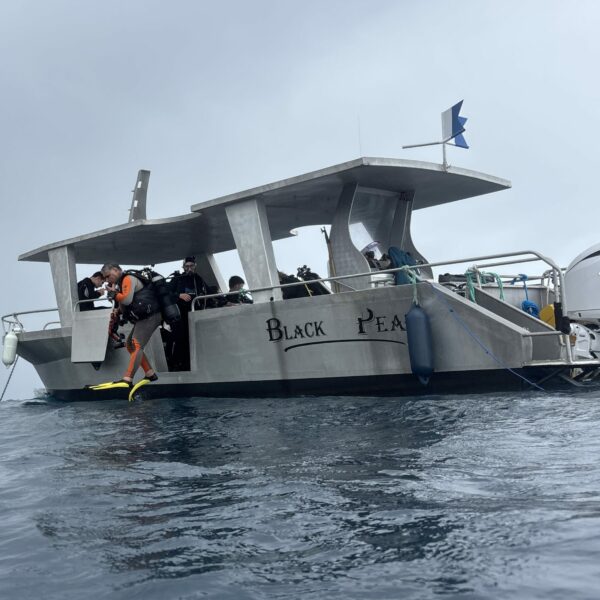 SportDiver_20260301_150159