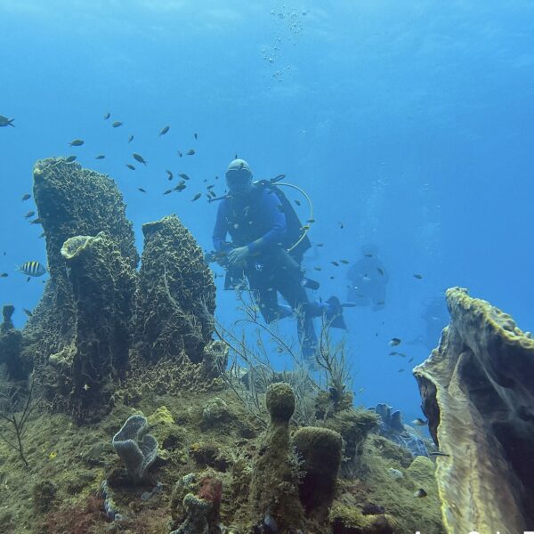 SportDiver_20260301_154120