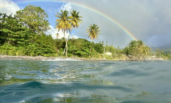 SportDiver_20260303_170139